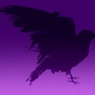 Raven aka BirB
